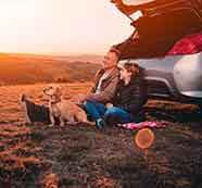 不限时间使用的ddos网页端