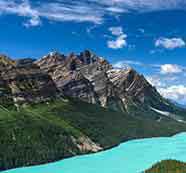 特别懂您的ddos网页端